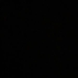 Meet your Posher, Ella